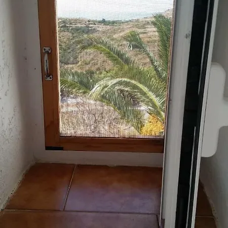 The Large Bougainvillea House *
