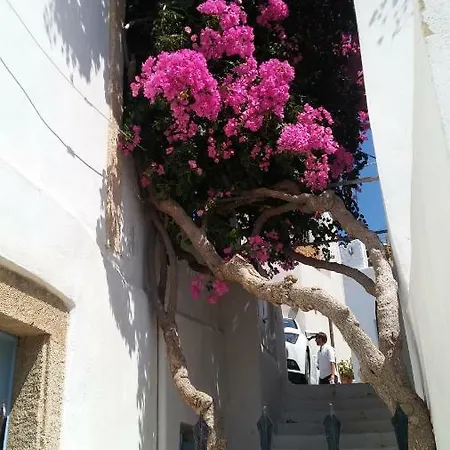Lägenhet The Large Bougainvillea House *